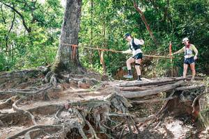 BIB: 
                            <button type="button" onclick="openModal(27720737)" class="btn btn-primary btn-sm float-right btn-popup" data-toggle="modal" data-target=".modal-high-quality">
                        <i class="fas fa-shopping-cart"></i> Add to Cart
                    </button>
                                            <button type="button" onclick="isThisMe(27720737, true)" class="btn btn-success btn-sm float-right btn-popup btn-isme hidden" data-toggle="tooltip" data-placement="bottom" title="นี่คือรูปของคุณใช่ไหม คลิกที่นี่เพื่อเอาเข้าอัลบั้ม">
                        <i class="fas fa-plus"></i> Add to album
                    </button>
                    <button type="button" onclick="isThisMe(27720737, false)" class="btn btn-warning btn-sm float-right btn-popup btn-isnotme hidden">
                        <i class="fas fa-ban"></i> Remove from album
                    </button>